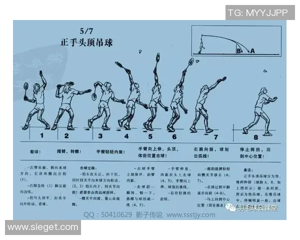 成都羽毛球队反击战术解析与实战应用探讨 成都羽毛球队反击战术解析与实战应用探讨
