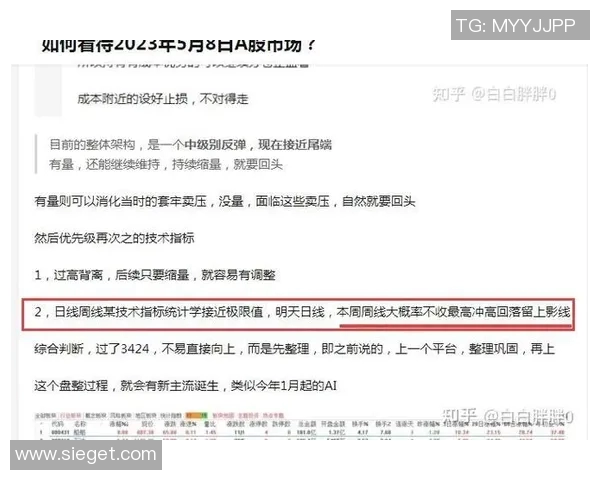 广州与武汉排球队赛后技术分析与战术复盘探讨
