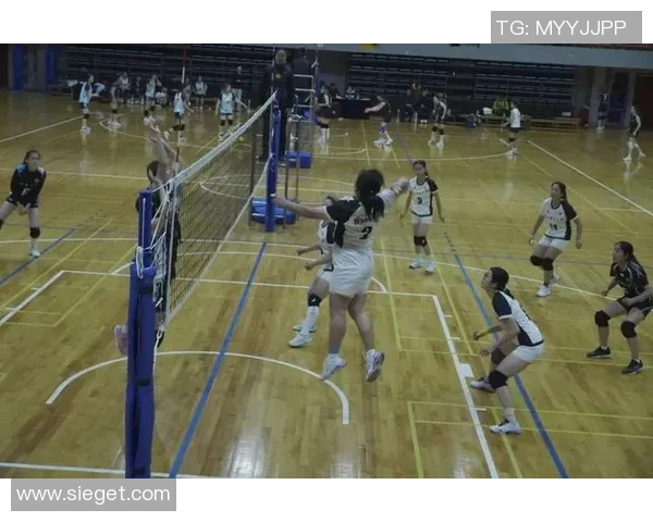 排球意识排行榜揭晓上海排球队荣登第四名引发热议 排球意识排行榜揭晓上海排球队荣登第四名引发热议