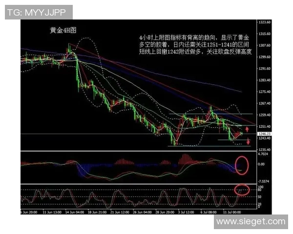 独家解析上海排球队各队员速度对比及其对比赛的影响分析