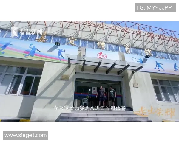 重庆排球队的成长之路：挑战赛中的拼搏与荣耀故事