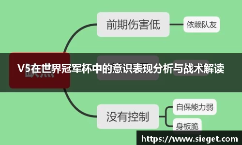 V5在世界冠军杯中的意识表现分析与战术解读
