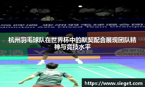 杭州羽毛球队在世界杯中的默契配合展现团队精神与竞技水平