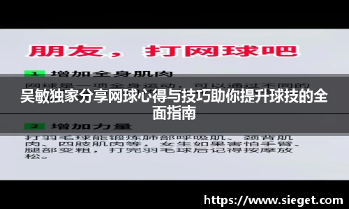 吴敏独家分享网球心得与技巧助你提升球技的全面指南