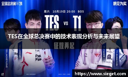 TES在全球总决赛中的技术表现分析与未来展望