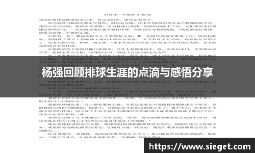 VSport胜利因您更精彩