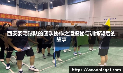 西安羽毛球队的团队协作之道揭秘与训练背后的故事