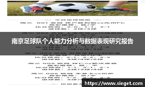 南京足球队个人能力分析与数据表现研究报告