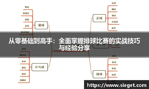 从零基础到高手：全面掌握排球比赛的实战技巧与经验分享